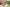  - Alminde 15, Enderslev